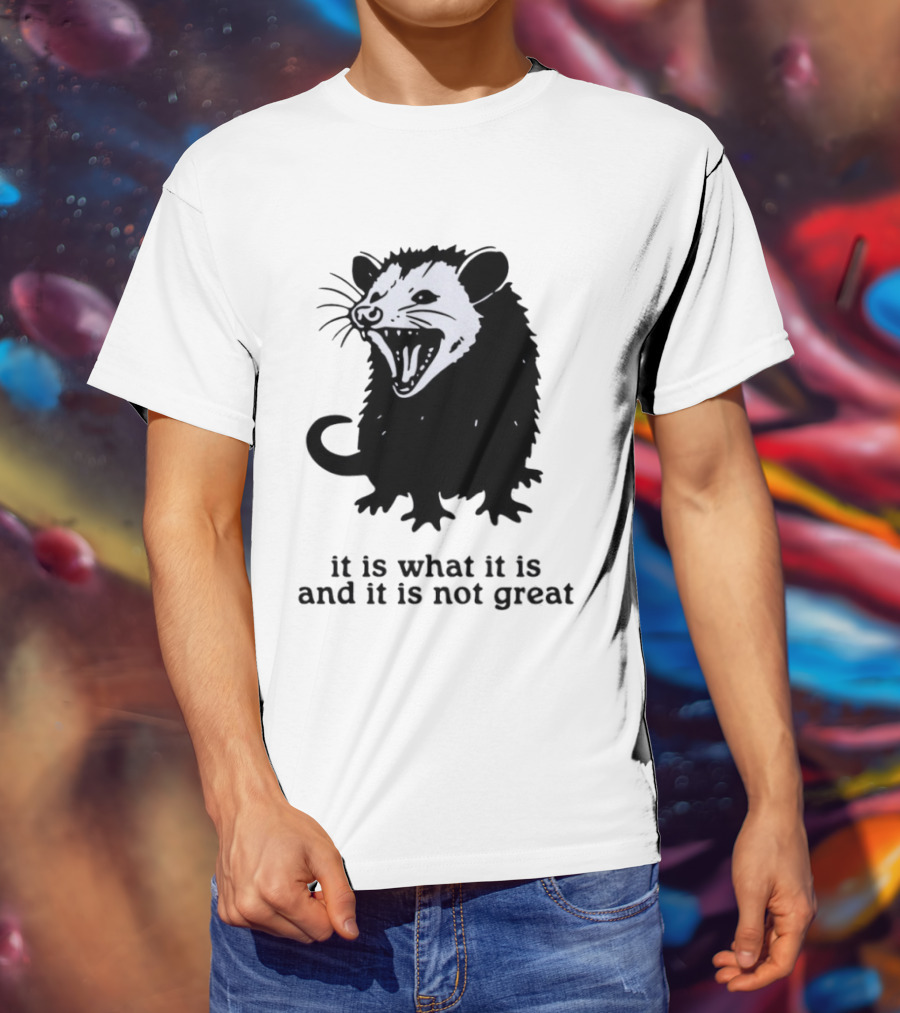 It Is What It Is And It Is Not Great Opossum T-Shirt