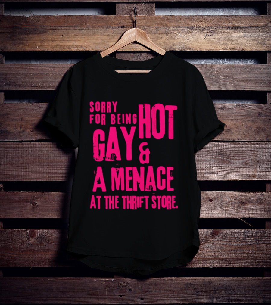 Sorry For Being Hot Gay And A Menace At The Thrift Store T-Shirt