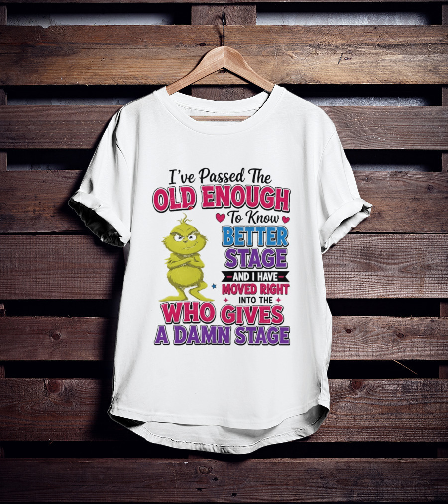 Passed The Old Enough To Know Better Moved Right Into The Who Gives A Damn Stage T-Shirt