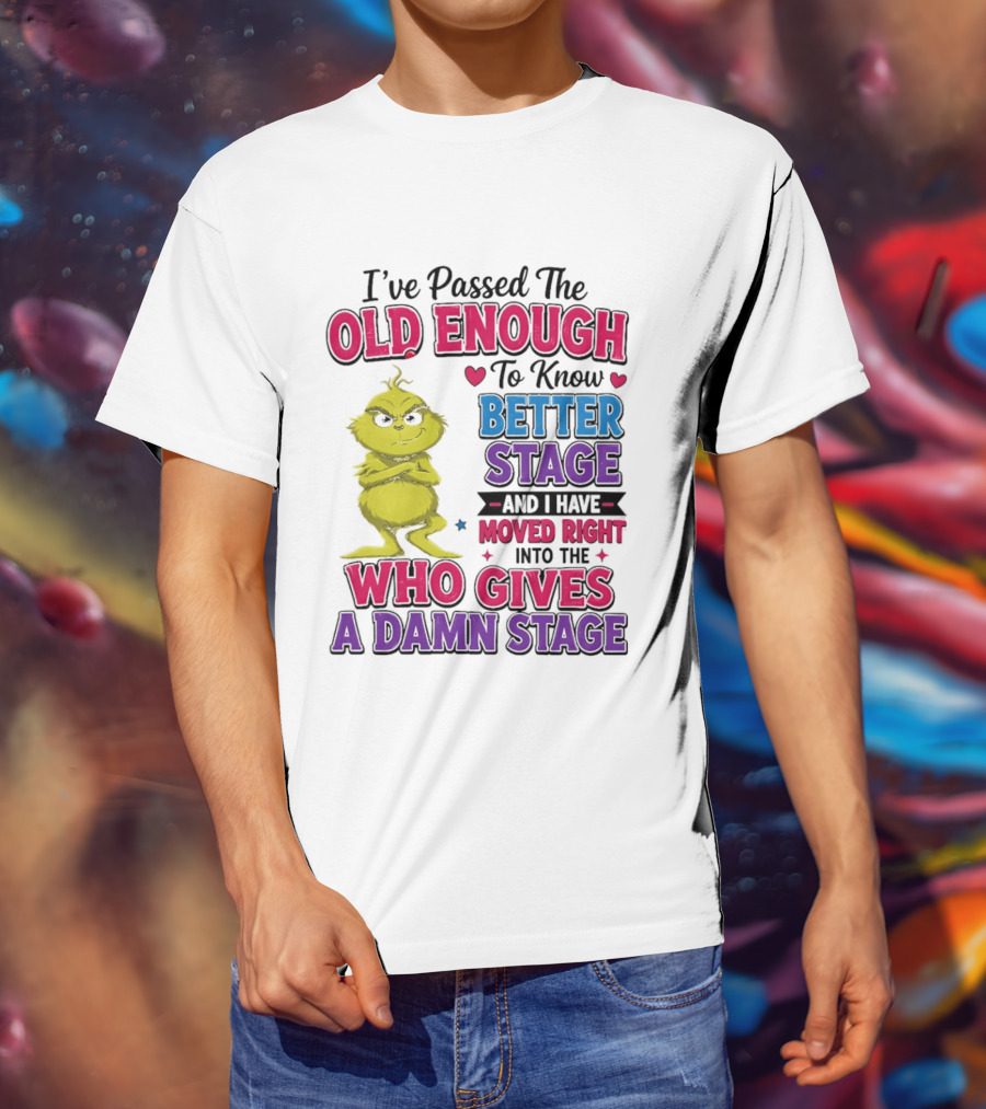 Passed The Old Enough To Know Better Moved Right Into The Who Gives A Damn Stage T-Shirt