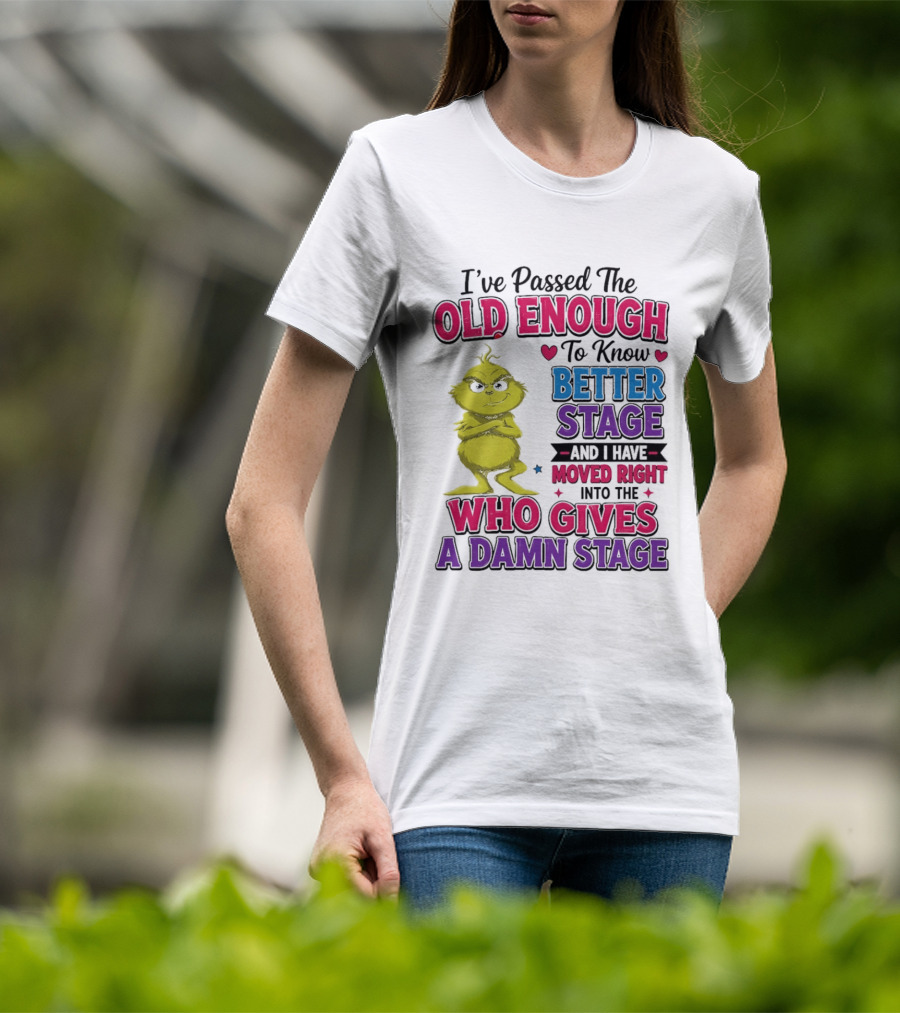 Passed The Old Enough To Know Better Moved Right Into The Who Gives A Damn Stage T-Shirt