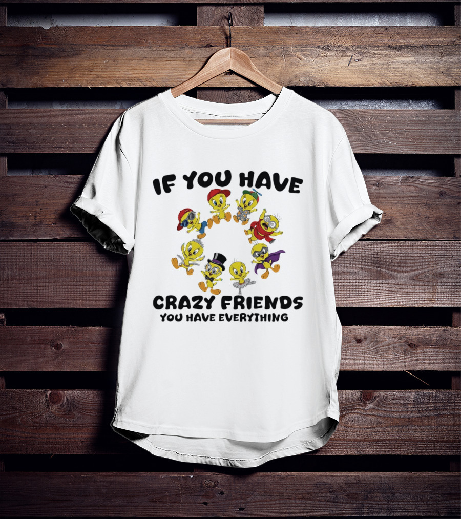 If You Have Crazy Friends You Have Everything Tweety Bird Characters T-Shirt