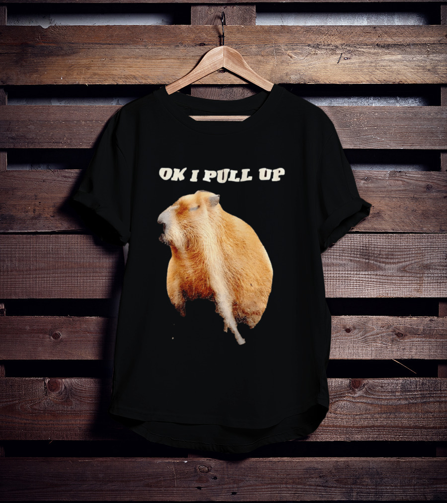 Ok I Pull Up Capybara Meme T-Shirt