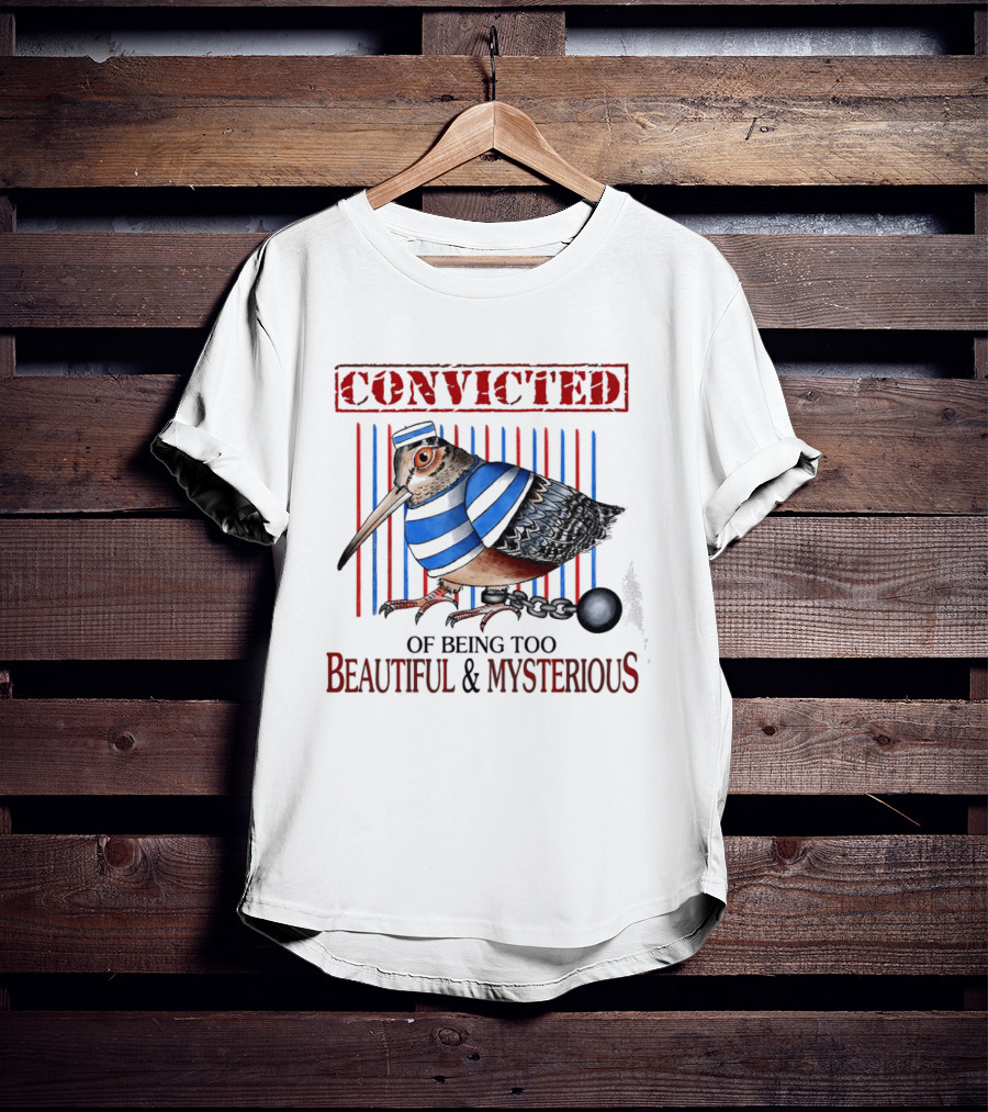 Convicted Of Being Too Beautiful And Mysterious Bird Prisoner Stripes T-Shirt