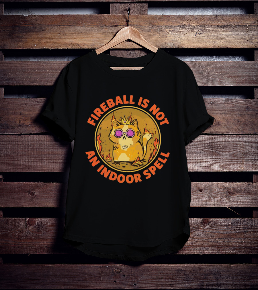 Princess Donut Fireball Is Not An Indoor Spell Dungeon Crawler Carl T-Shirt