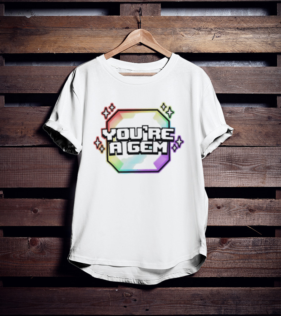 You're A Gem Emidivergent Pride Stars Rainbow T-Shirt
