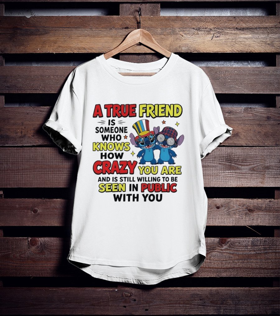 A True Friend Is Someone Who Knows How Crazy You Are And Is Still Willing To Be Seen In Public With You Stitch T-Shirt