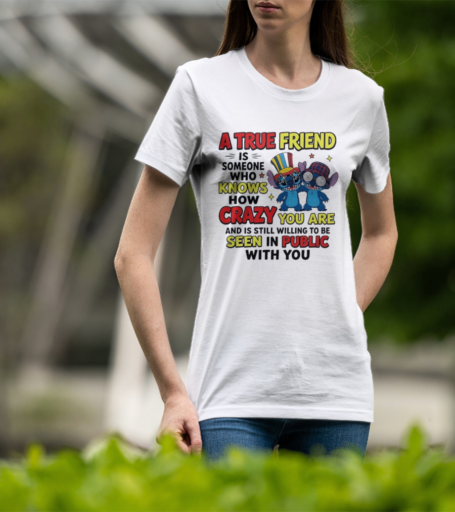 A True Friend Is Someone Who Knows How Crazy You Are And Is Still Willing To Be Seen In Public With You Stitch T-Shirt