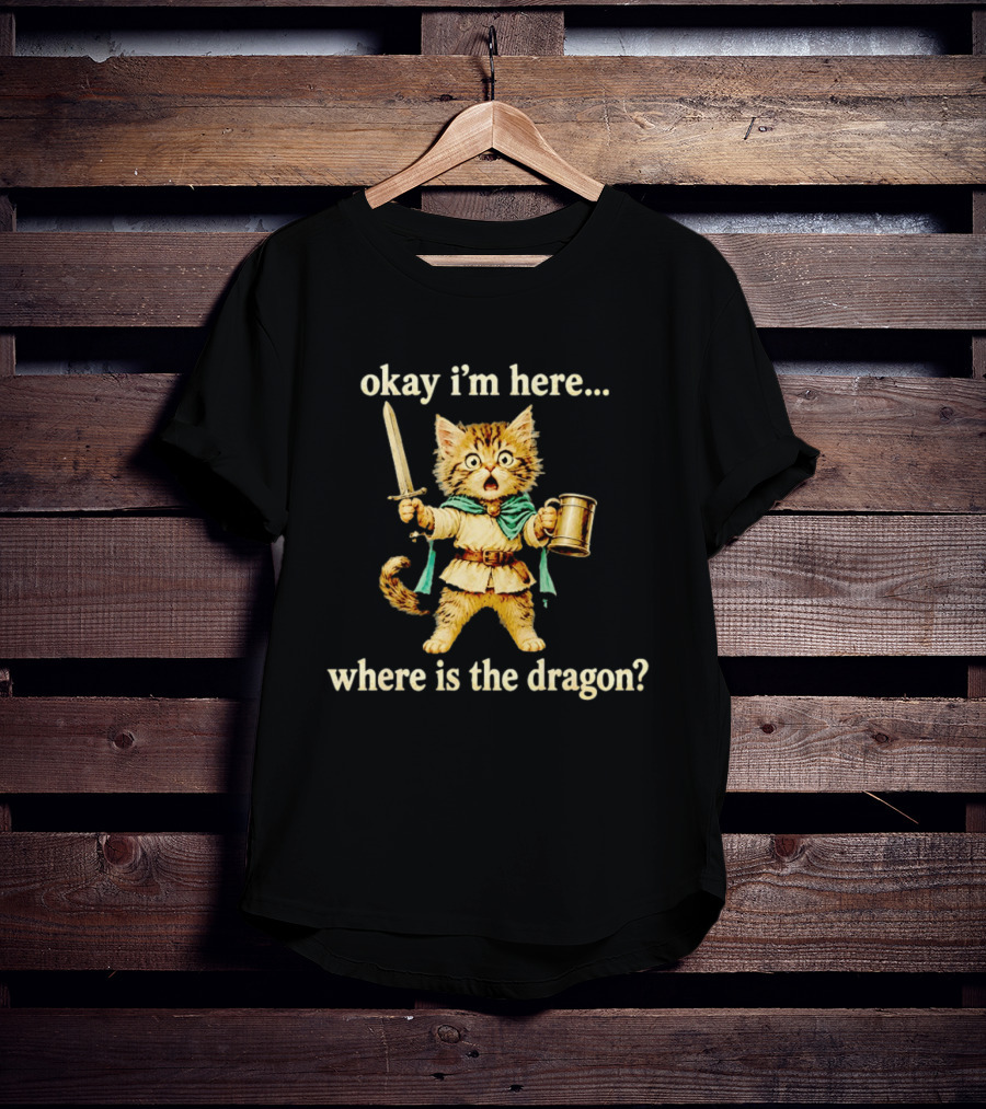 Okay I'm Here Where Is The Dragon Cat Knight Sword Adventure T-Shirt