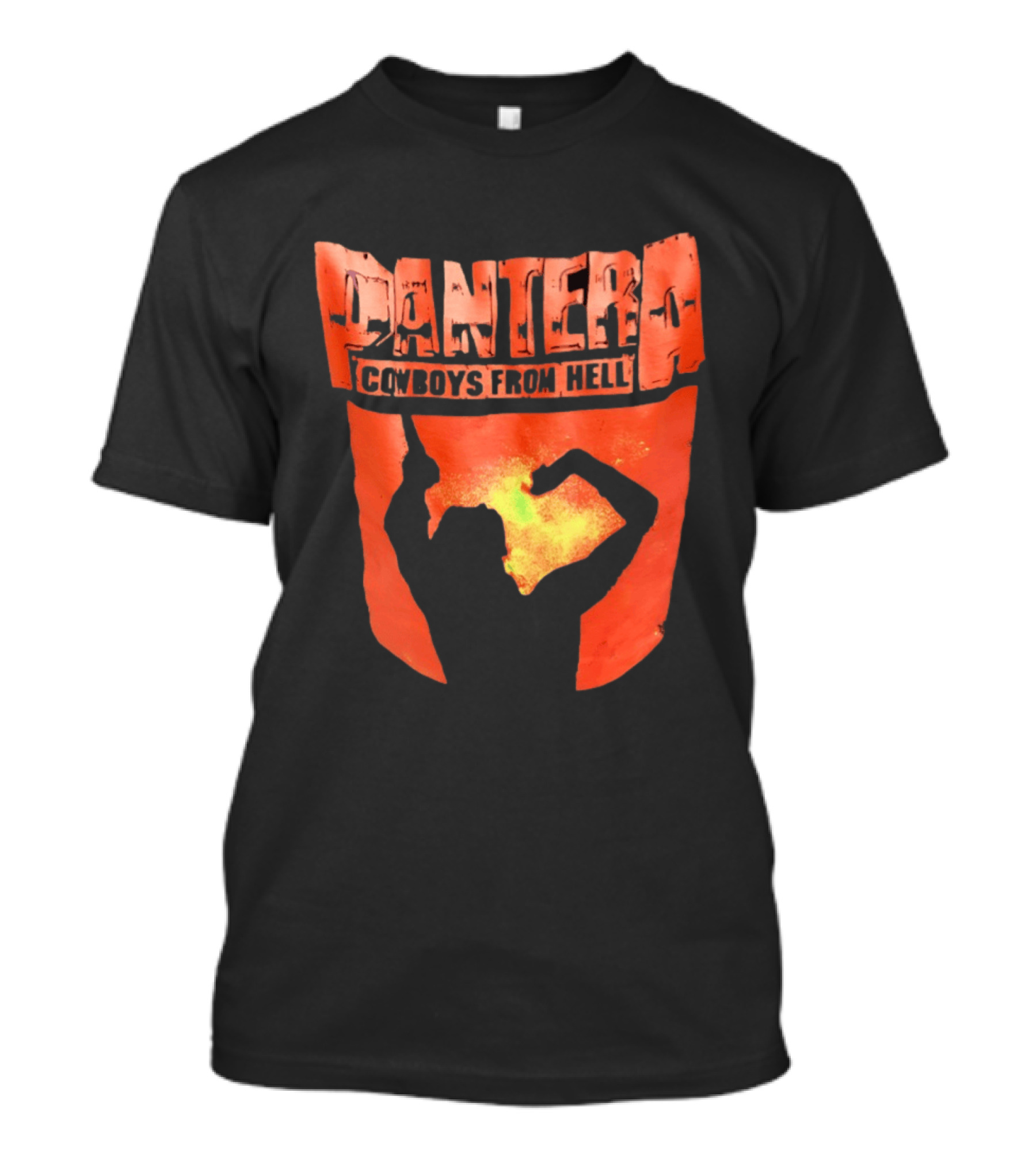 Pantera Cowboys From Hell Heavy Metal Distressed Skull T-Shirt