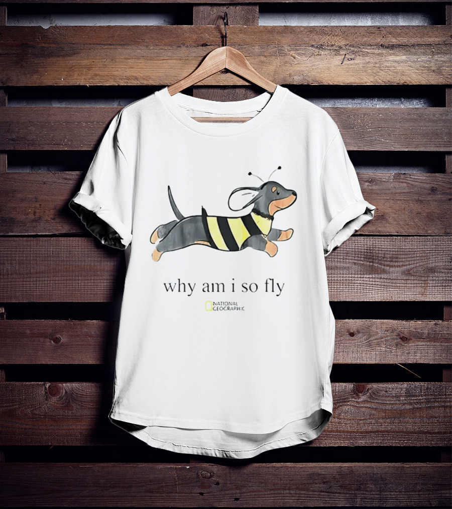 Why Am I So Fly Dachshund Bee National Geographic T-Shirt