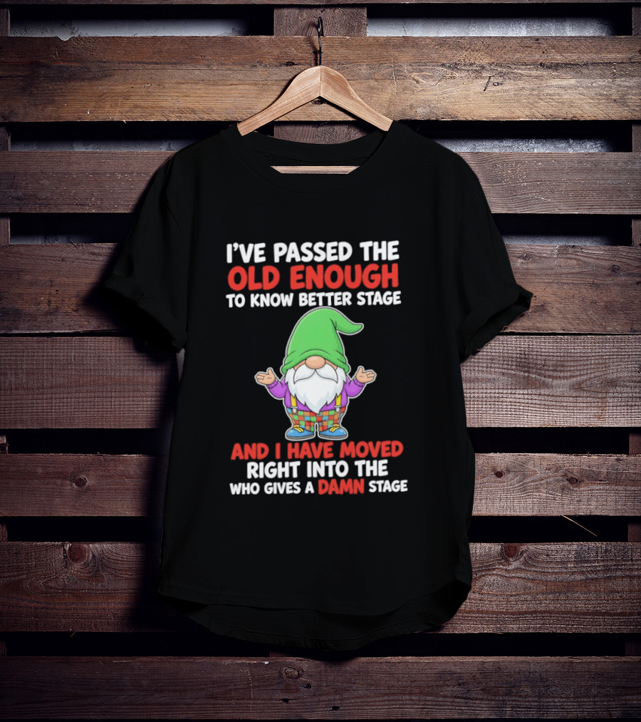 I've Passed The Old Enough To Know Better Gnome And Moved Into Who Gives A Damn Stage T-Shirt