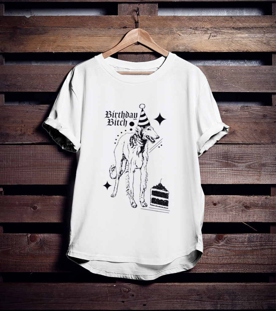 Birthday Bitch Dog Party Hat Cake Celebration Fun T-Shirt