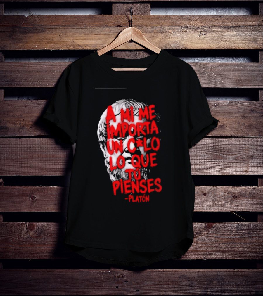 A Mi Me Importa Un Culo Lo Que Tu Pienses Platón Skull T-Shirt
