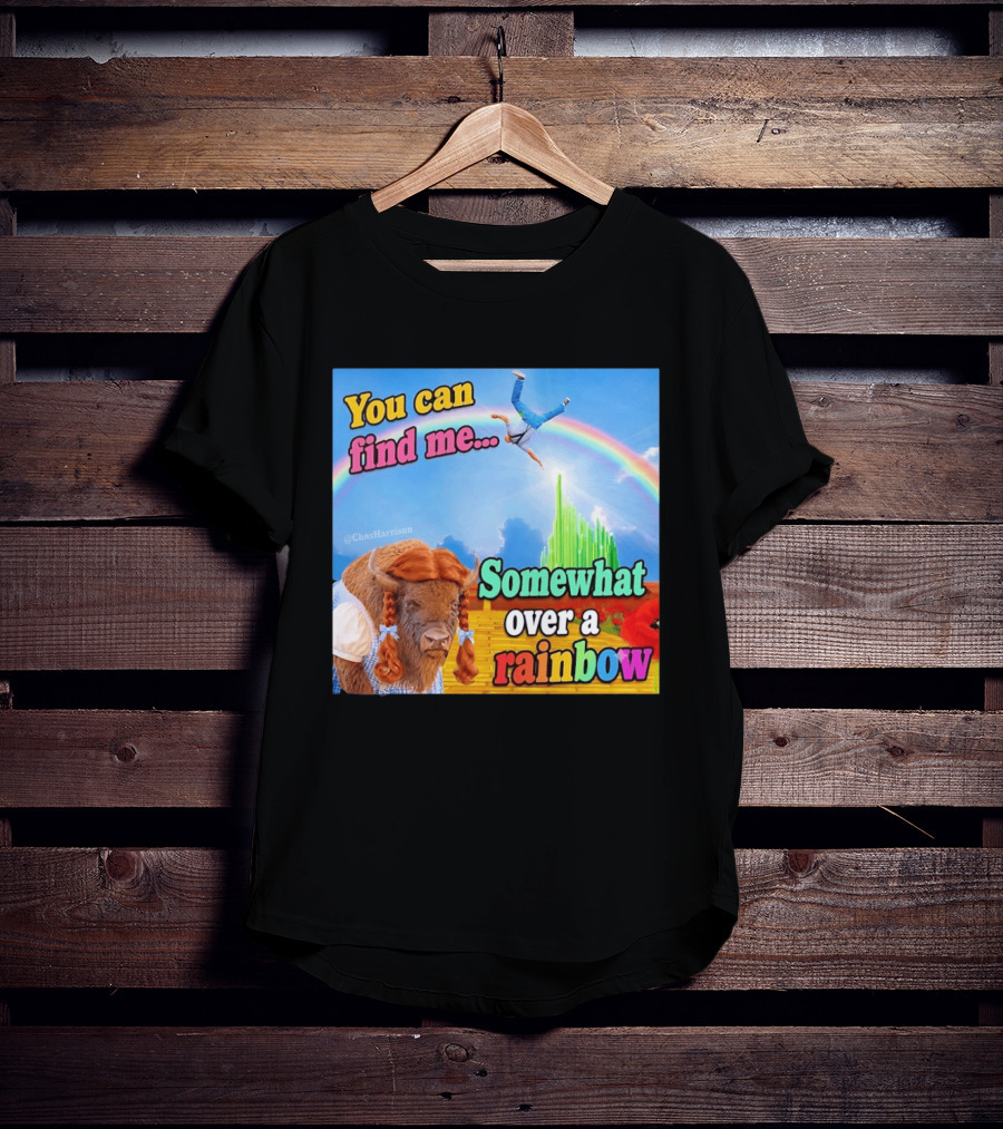 You Can Find Me Somewhat Over A Rainbow Bison Meme T-Shirt