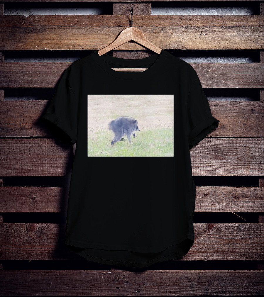 Jimothy Raccoon Walking In Grassy Field Wildlife Scene T-Shirt