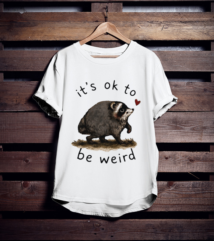 Raccoon It's Ok To Be Weird Cute Heart T-Shirt