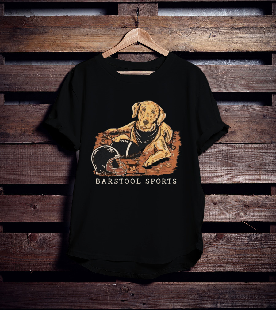 Barstool Sports Fall Football Dog With Helmet And Leaves T-Shirt