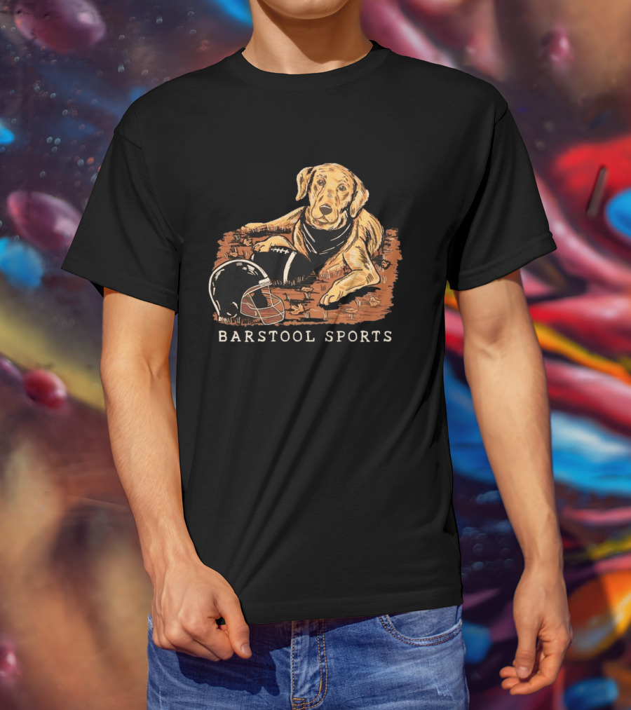 Barstool Sports Fall Football Dog With Helmet And Leaves T-Shirt