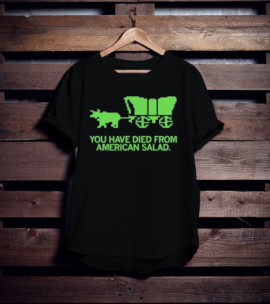 You Have Died From American Salad Ox Cart Retro Gaming Spoof T-Shirt