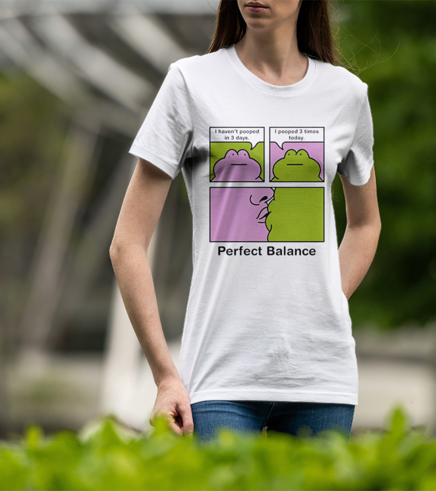 Perfect Balance Frog Meme I Haven't Pooped In 3 Days Pooped 3 Times Today T-Shirt