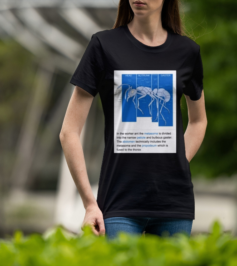 Head Alitrunk Gaster Metasoma Petiole Anatomy Of An Ant T-Shirt