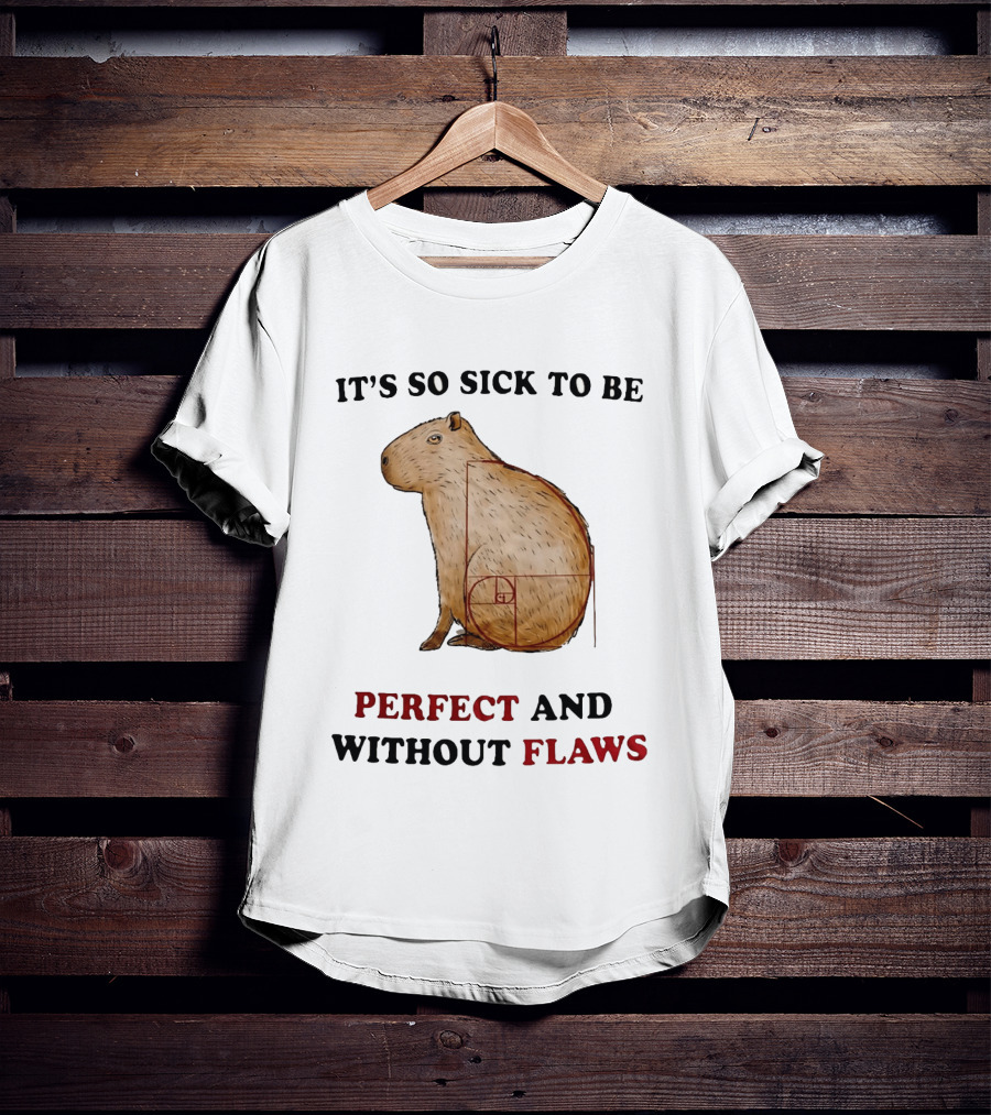 Capybara It's So Sick To Be Perfect And Without Flaws Fibonacci Spiral T-Shirt