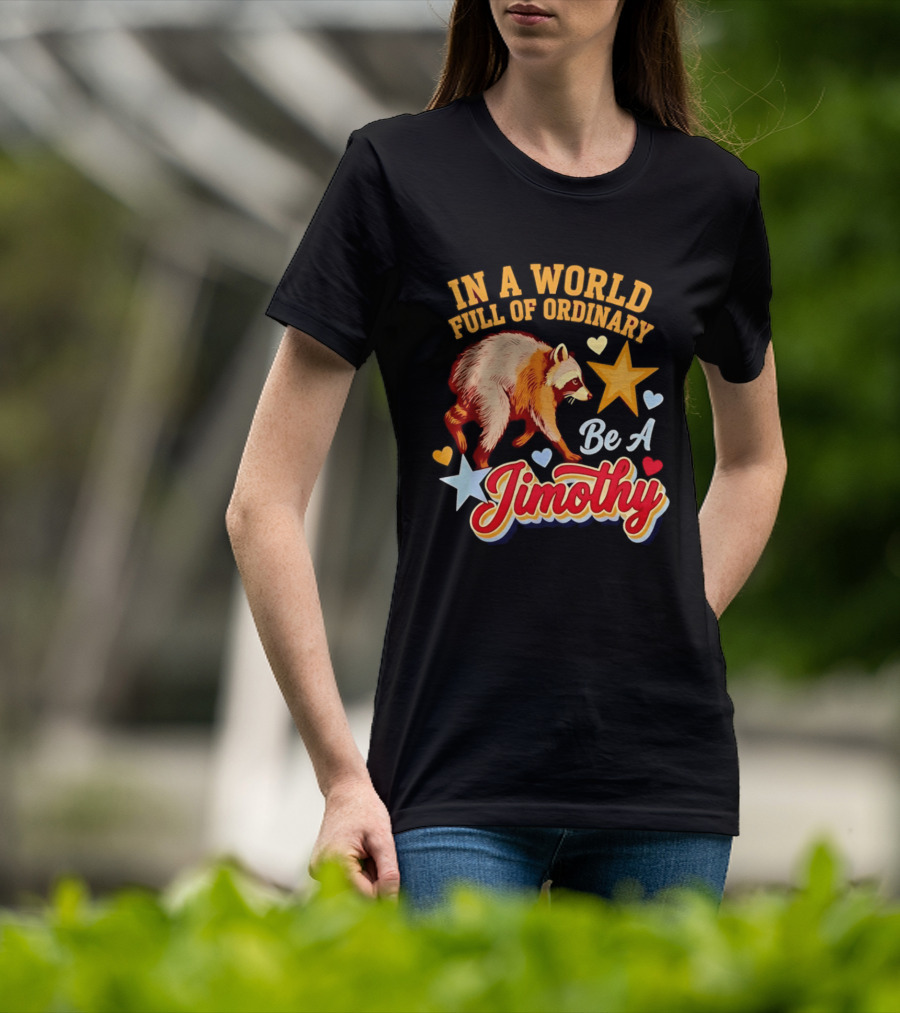 In A World Full Of Ordinary Be A Jimothy Raccoon Stars Hearts T-Shirt