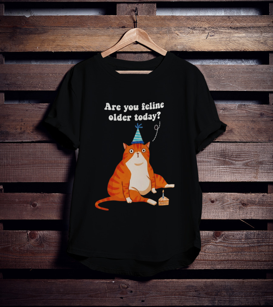 Are You Feline Older Today Birthday Cat With Party Hat And Cake T-Shirt