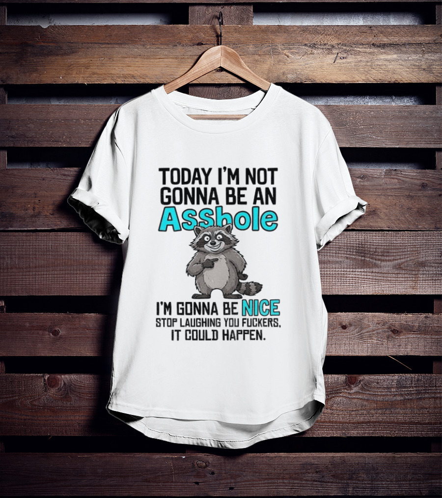 Today I'm Not Gonna Be An Asshole I'm Gonna Be Nice Stop Laughing It Could Happen Raccoon T-Shirt