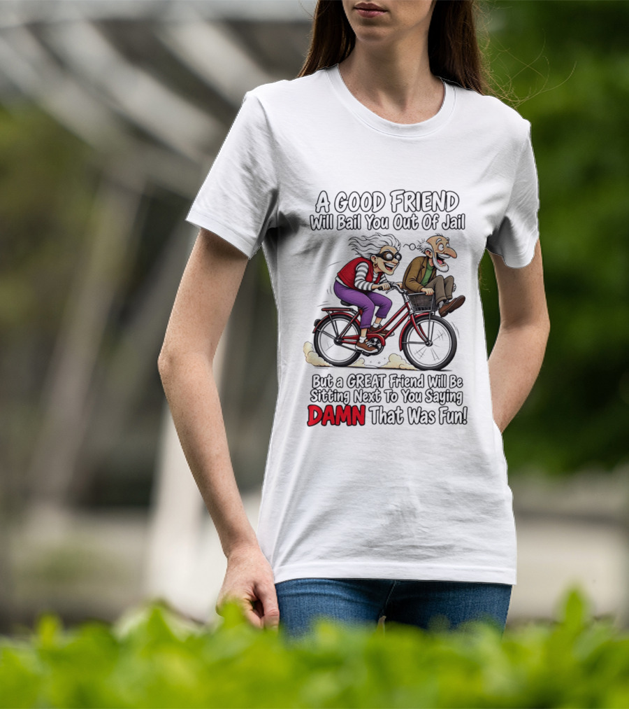 A Good Friend Will Bail You Out Of Jail Great Friend Sitting Next To You Saying Damn That Was Fun T-Shirt