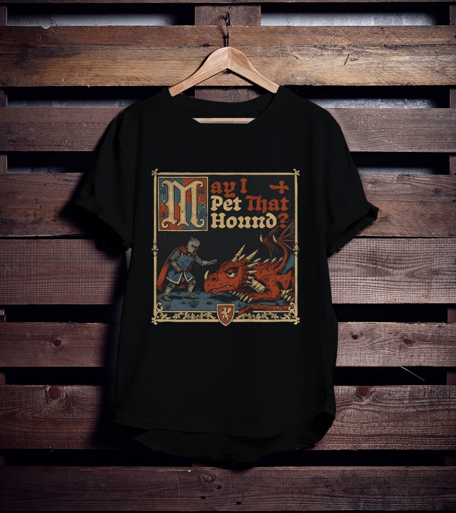 May I Pet That Hound Medieval Knight And Dragon Meme T-Shirt