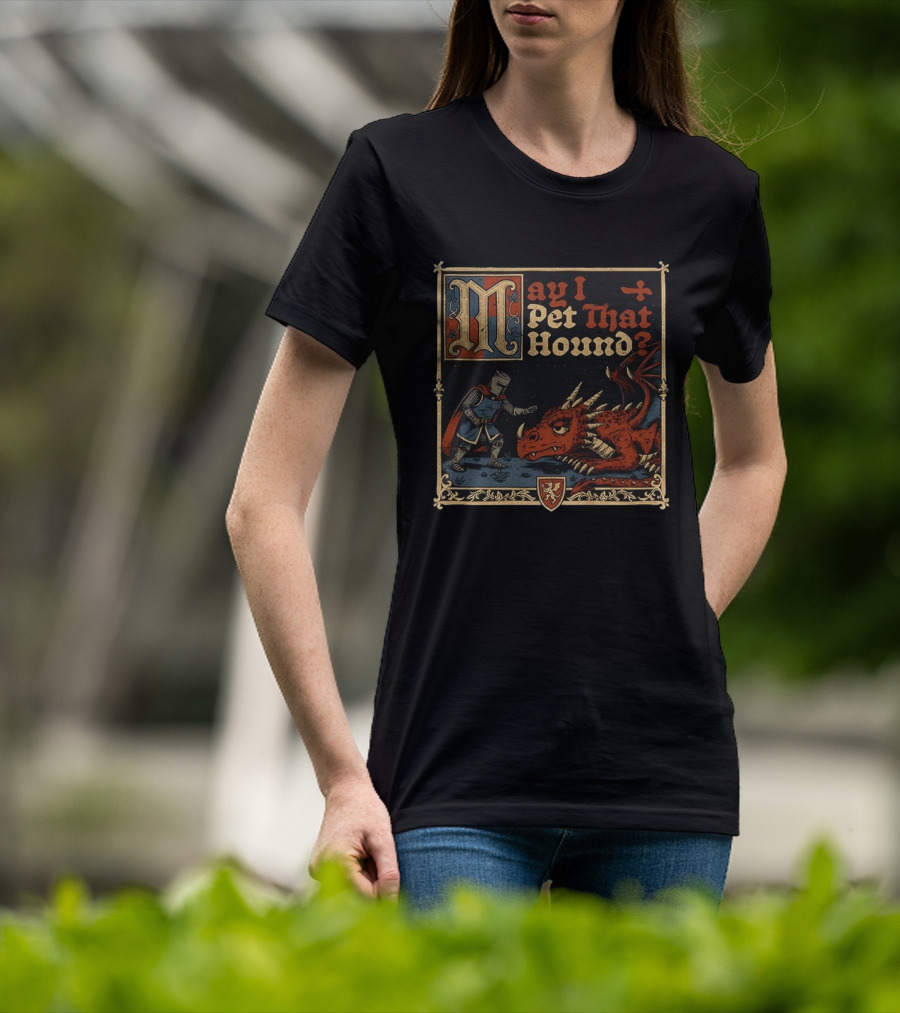 May I Pet That Hound Medieval Knight And Dragon Meme T-Shirt