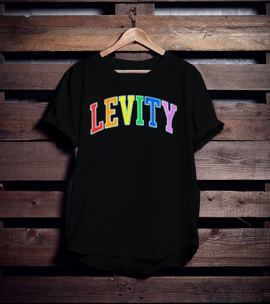Levity You Will Now Experience Levity T-Shirt