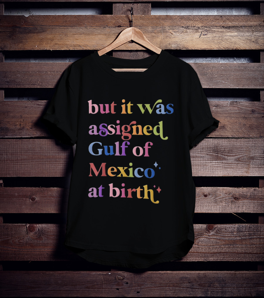 But It Was Assigned Gulf Of Mexico At Birth Rainbow T-Shirt