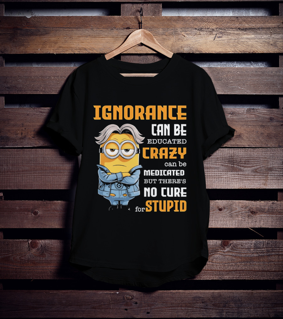 Ignorance Can Be Educated Crazy Can Be Medicated No Cure For Stupid Minion T-Shirt