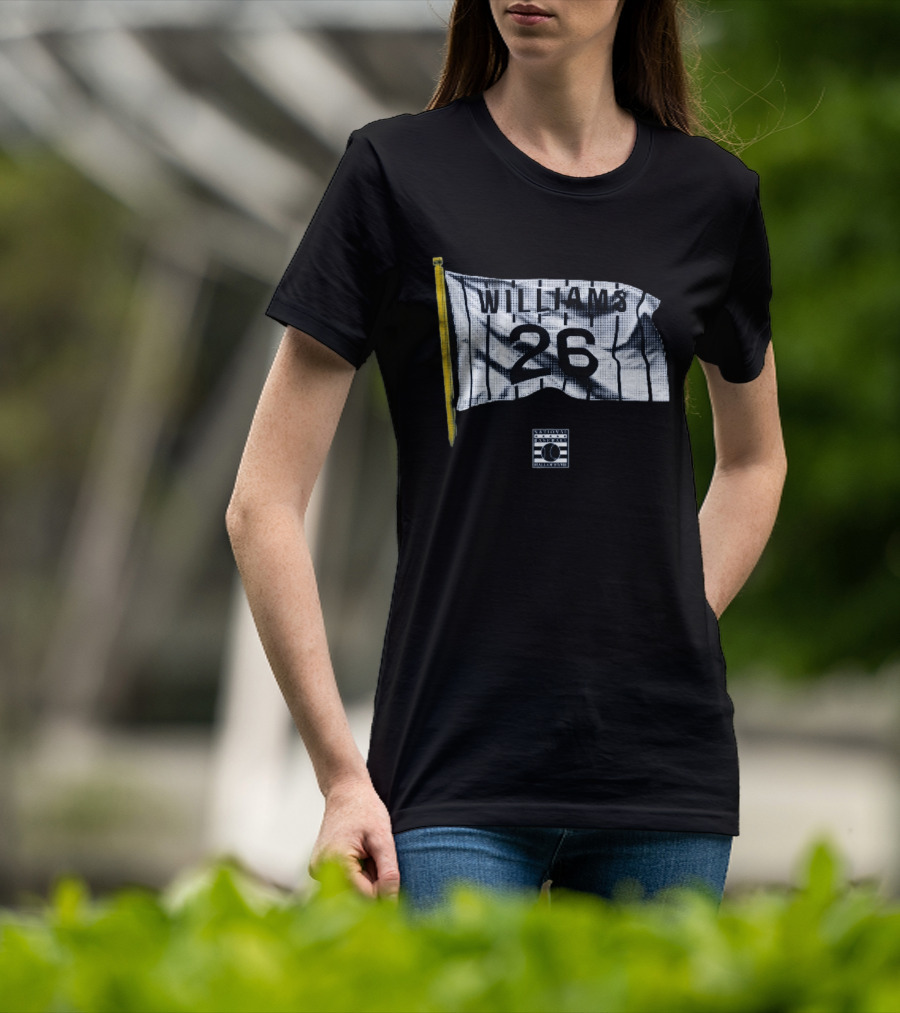 Williams 26 Flag National Baseball Hall Of Fame T-Shirt