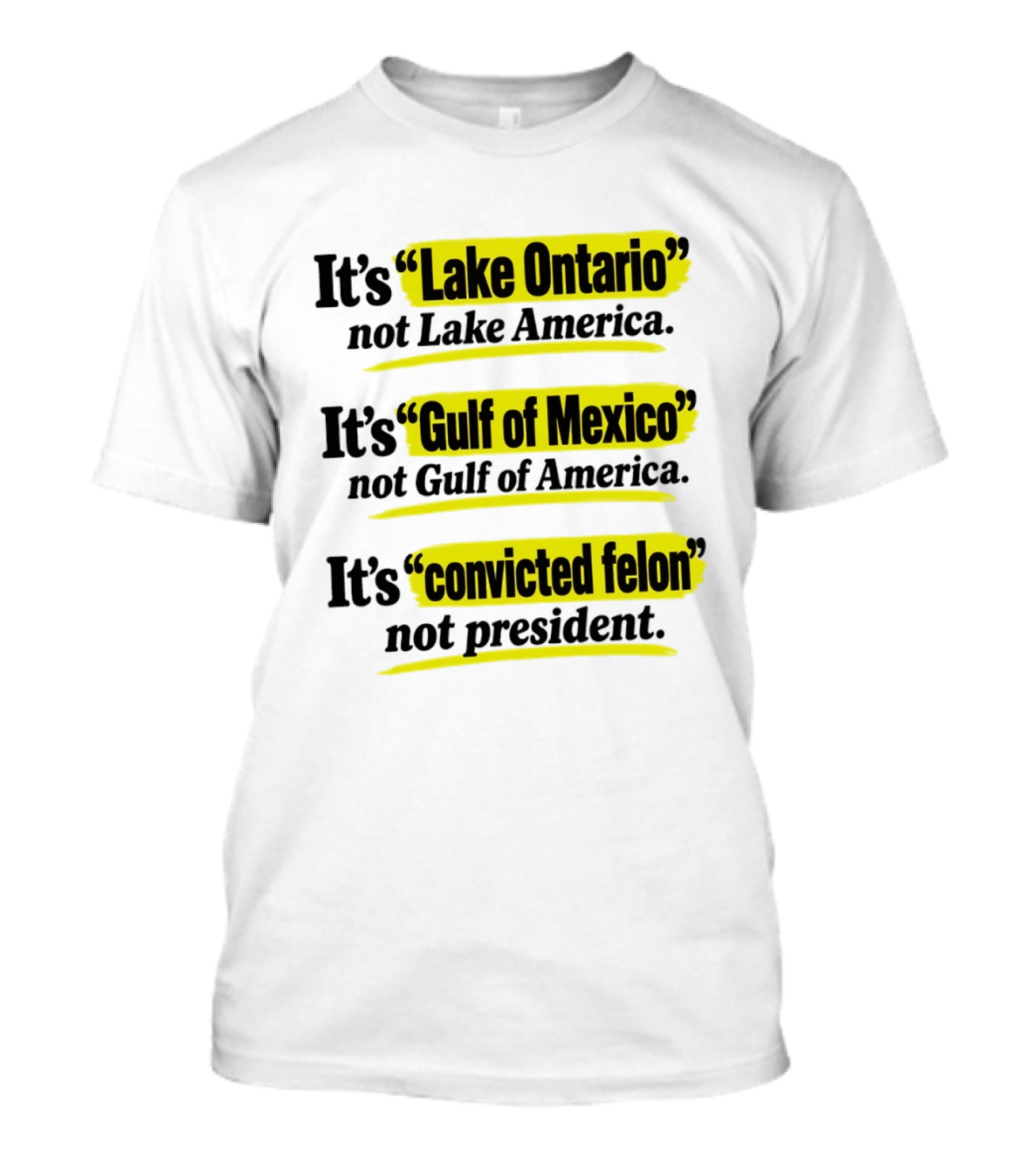 It's Lake Ontario Not Lake America Gulf Of Mexico Not Gulf Of America Convicted Felon Not President T-Shirt