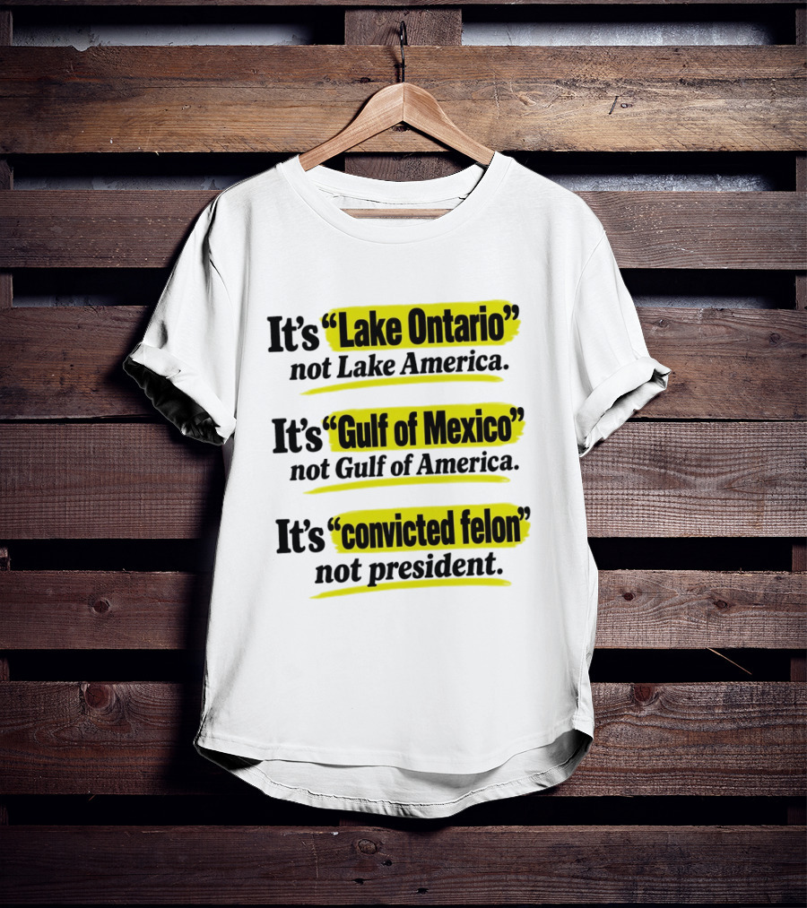 It's Lake Ontario Not Lake America Gulf Of Mexico Not Gulf Of America Convicted Felon Not President T-Shirt