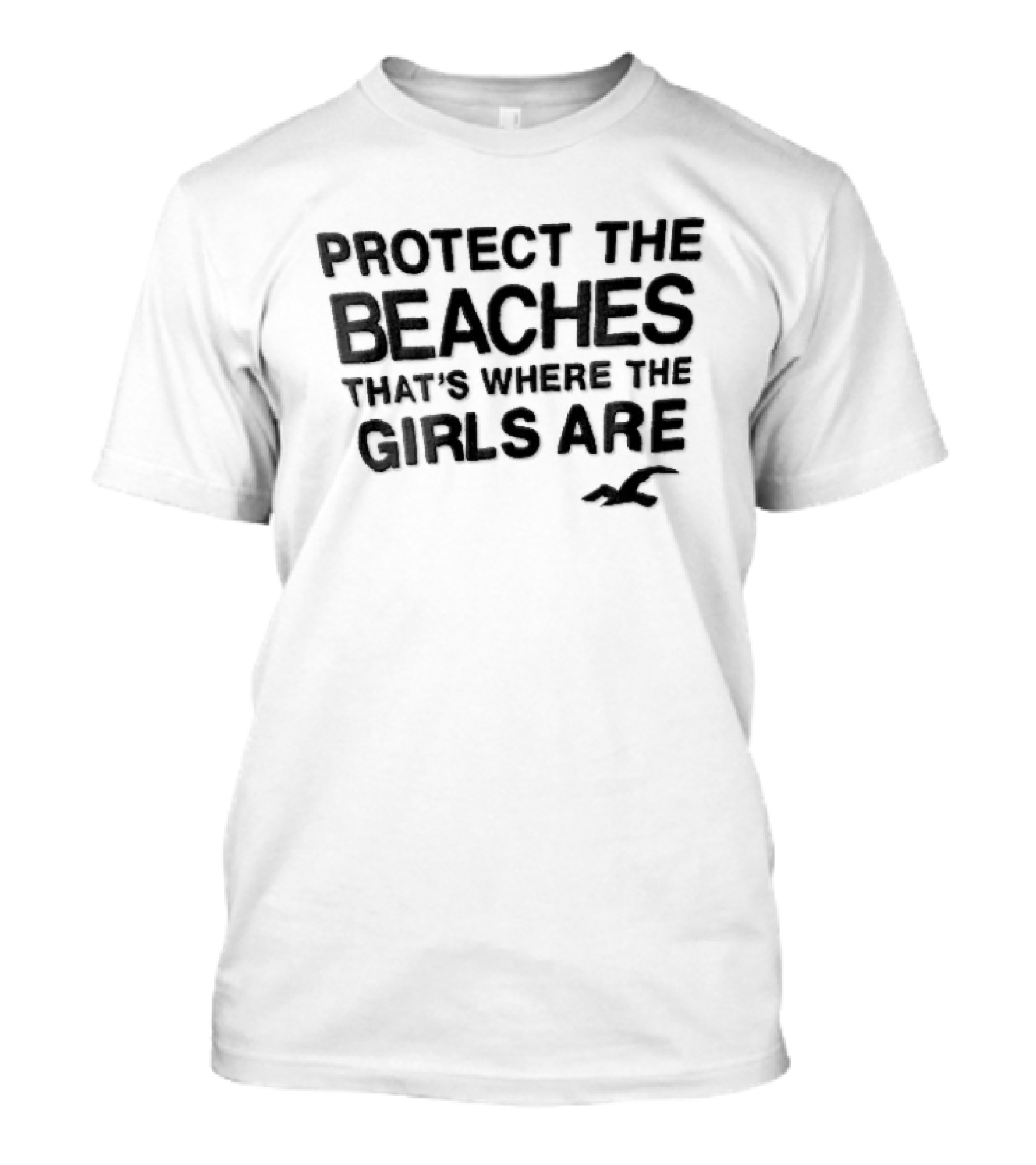 Hollister Co Protect The Beaches Girls Are Flying Seagull T-Shirt