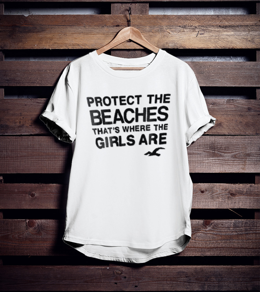 Hollister Co Protect The Beaches Girls Are Flying Seagull T-Shirt