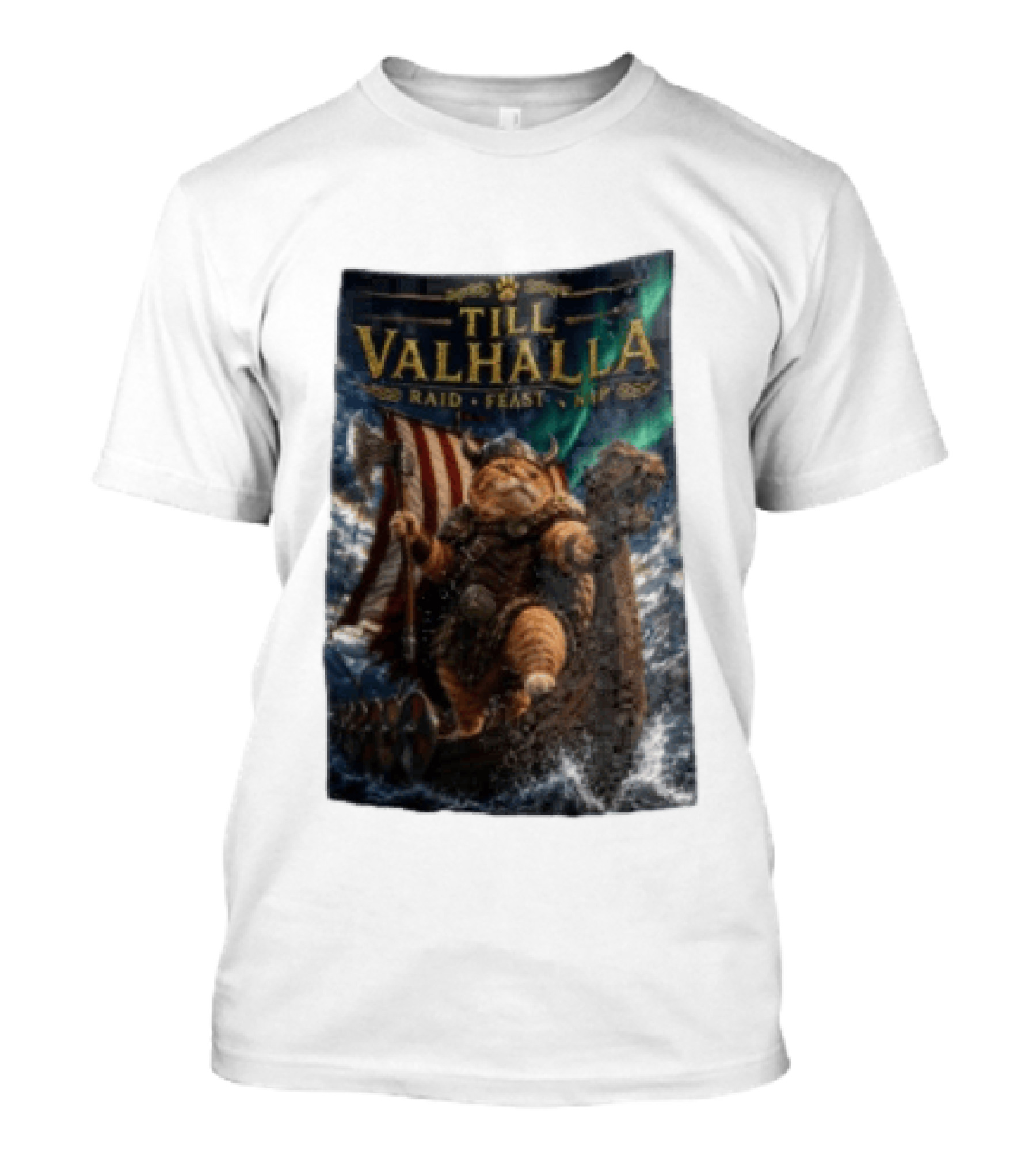 Till Valhalla Raid Feast Nap Viking Cat On Longship With Northern Lights T-Shirt