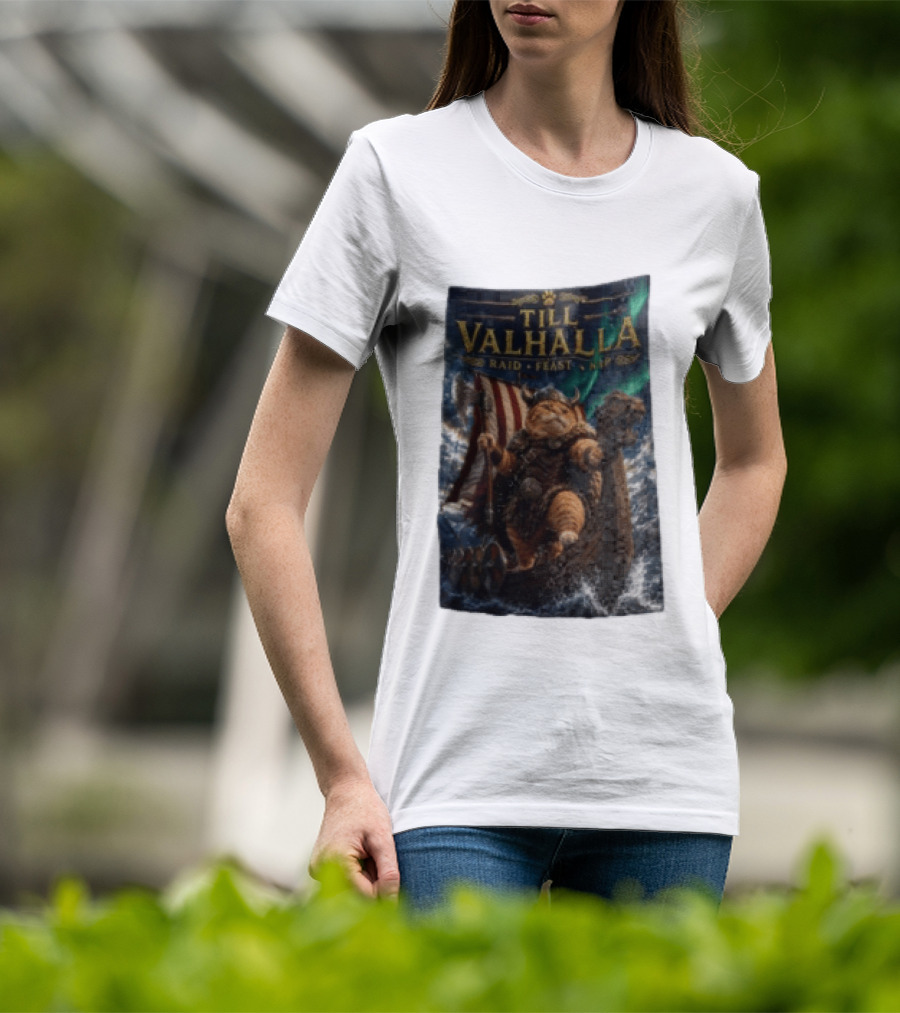 Till Valhalla Raid Feast Nap Viking Cat On Longship With Northern Lights T-Shirt