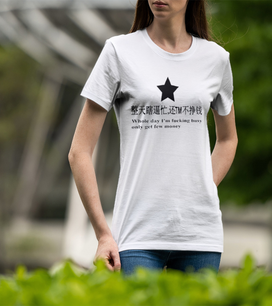 Whole Day I'm Fucking Busy Only Get Few Money Star T-Shirt