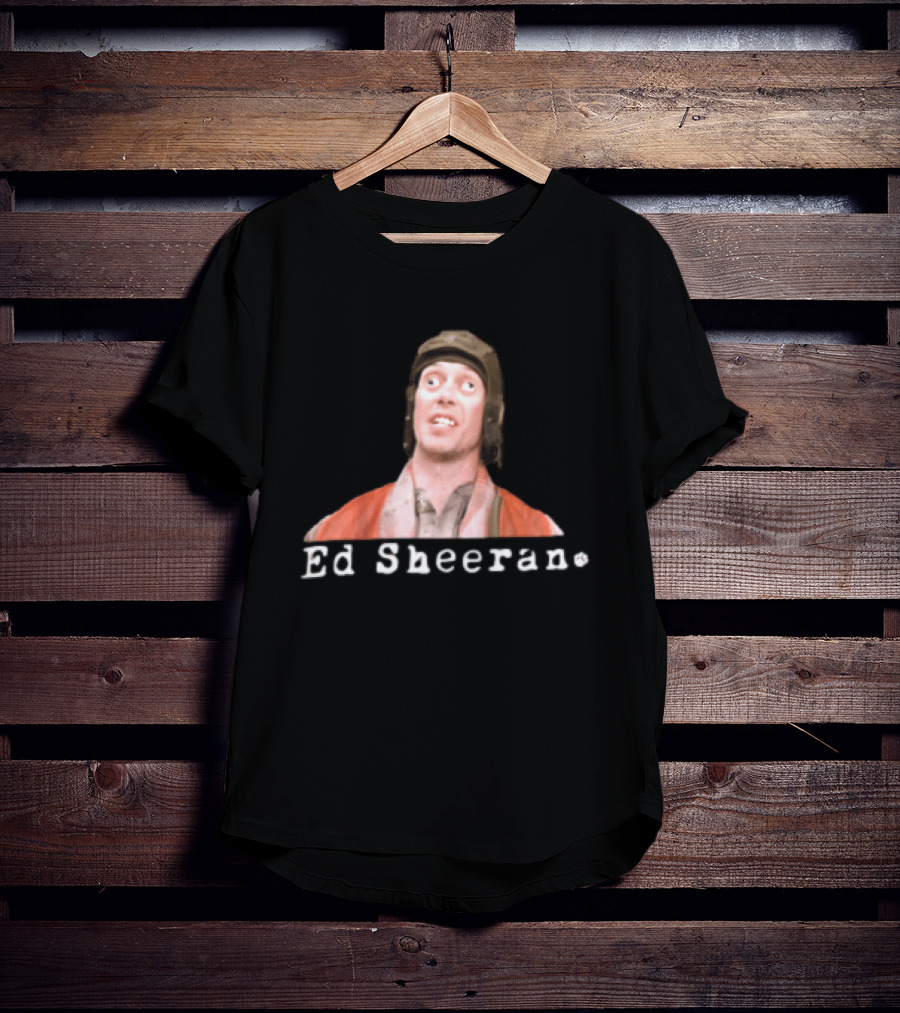 Ed Sheeran Steve Buscemi Meme Face Mashup T-Shirt