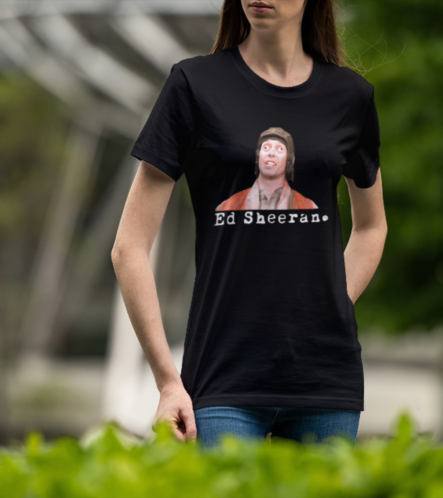 Ed Sheeran Steve Buscemi Meme Face Mashup T-Shirt