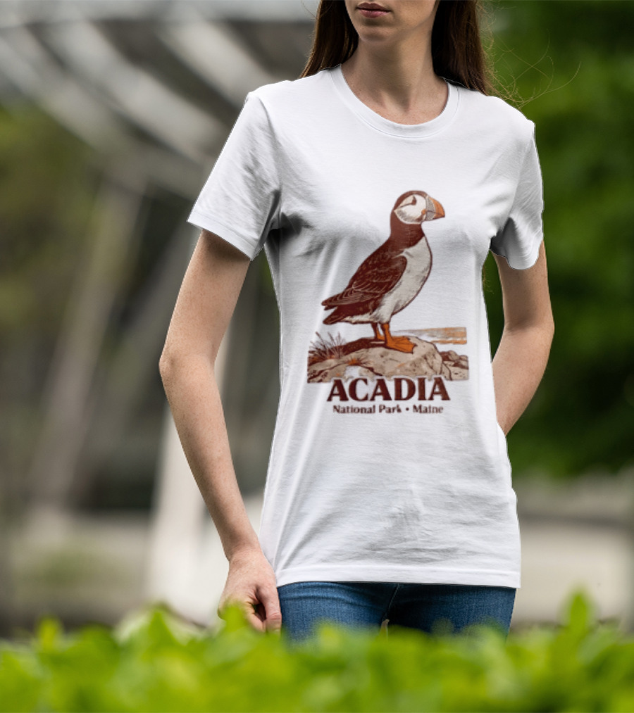 Acadia National Park Maine Puffin Standing On Rock T-Shirt