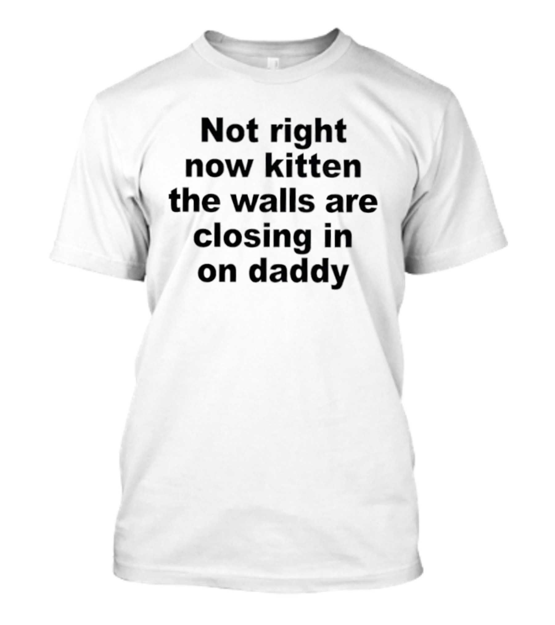 Not Right Now Kitten The Walls Are Closing In On Daddy Humorous Saying T-Shirt