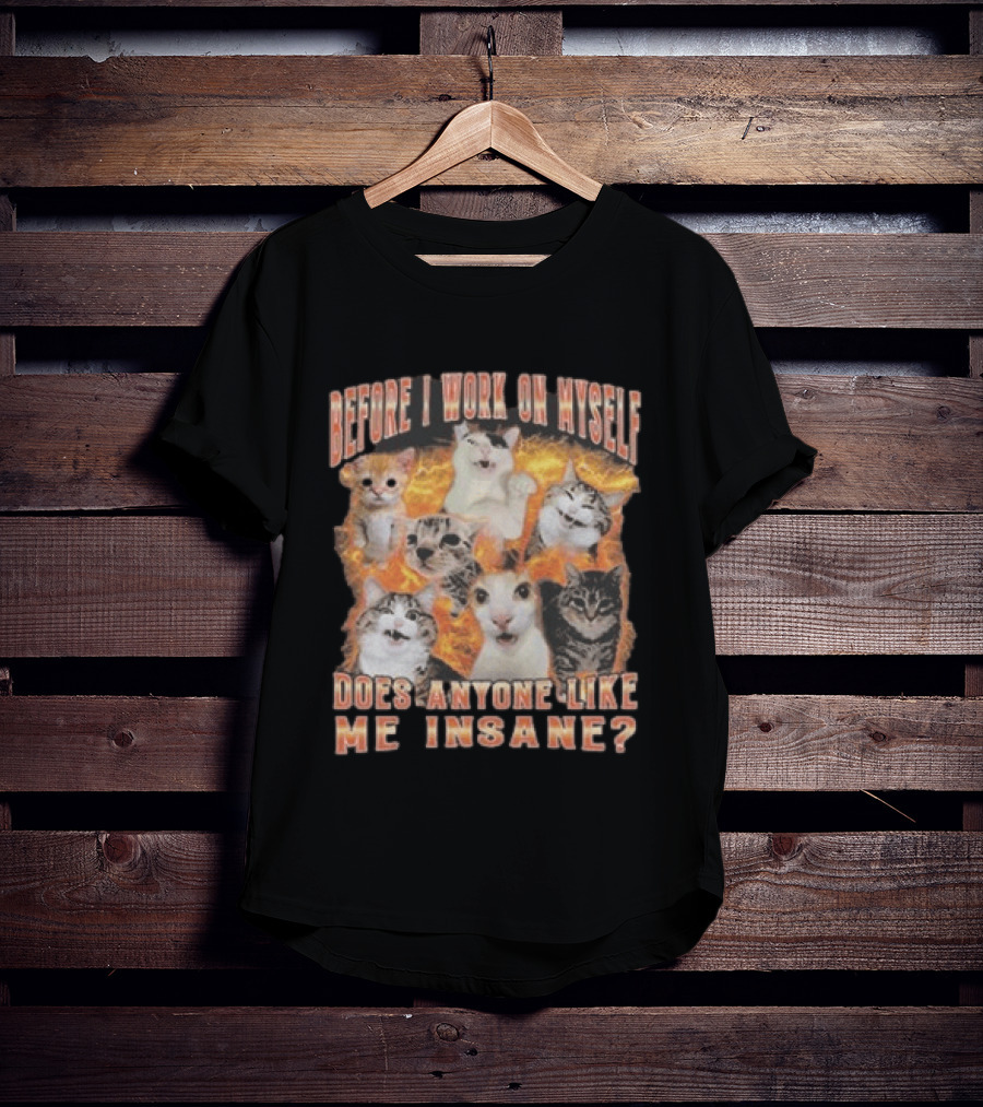 Before I Work On Myself Does Anyone Like Me Insane Cats T-Shirt