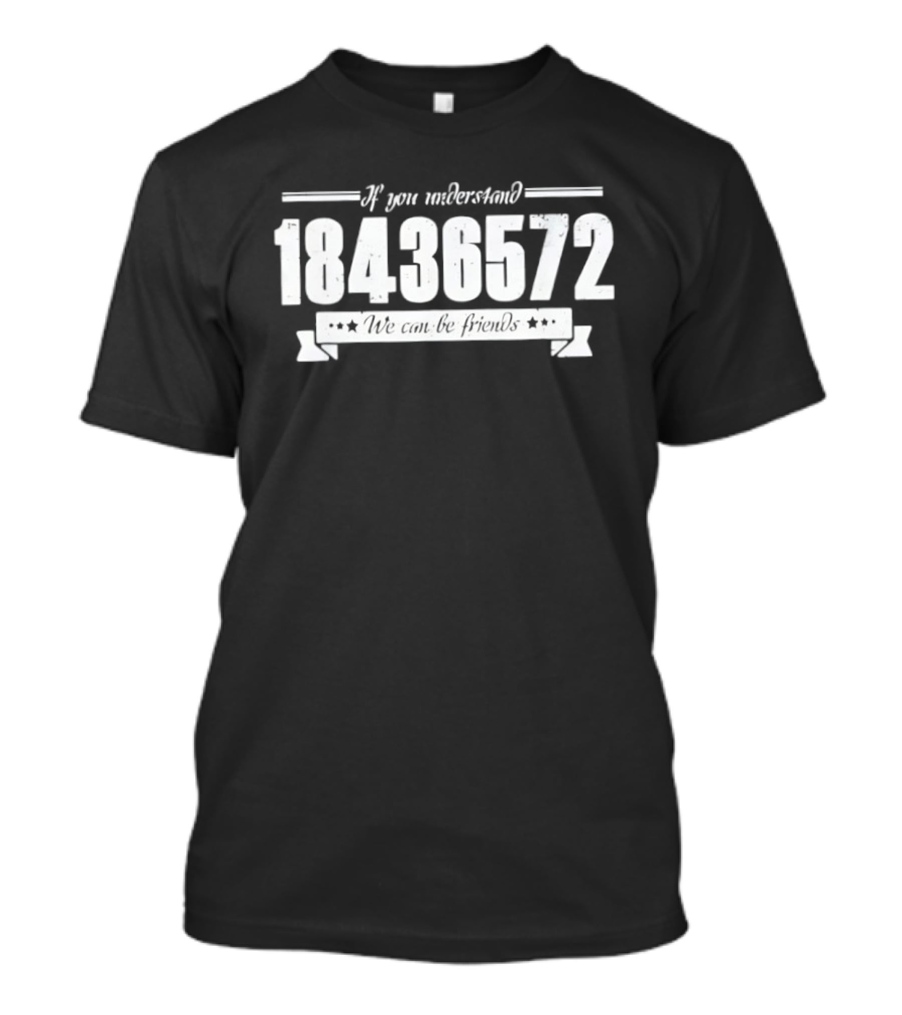 If You Understand 18436572 We Can Be Friends T-Shirt